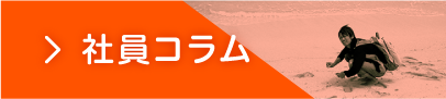 社員コラム